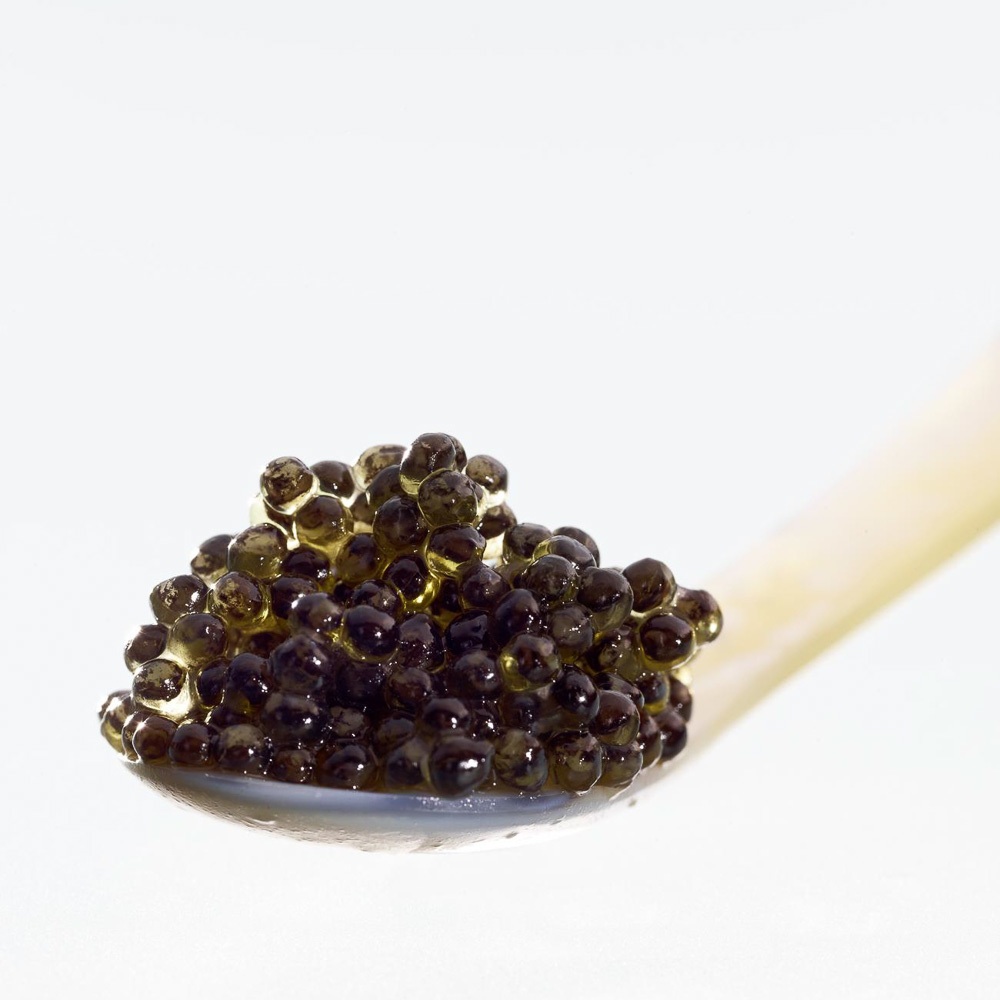 Vivace Caviar Genusshaus Delikatessen Zürich CREME GUIDES