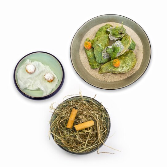 First Floor Michelin Stern Restaurant Berlin Vorspeise