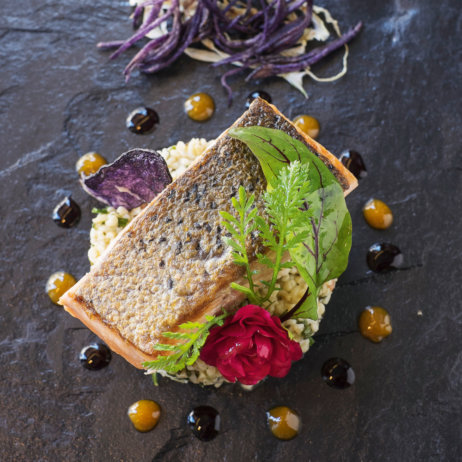 Cafe Luitpold München Lachs