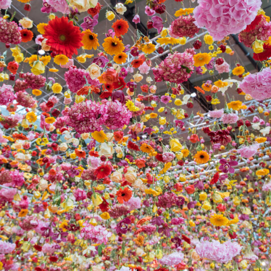 Bikini Berlin Rebecca Louise Law Installation