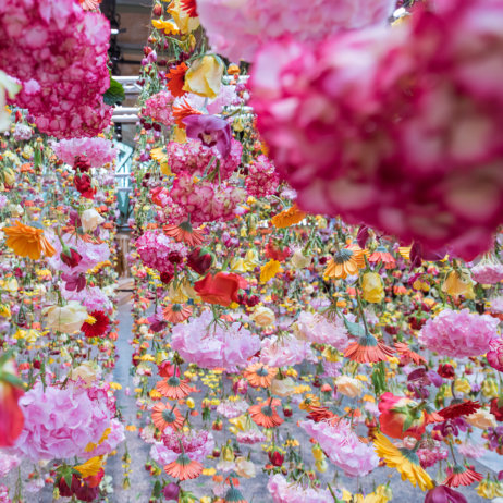 Bikini Berlin Rebecca Louise Law Installation Details