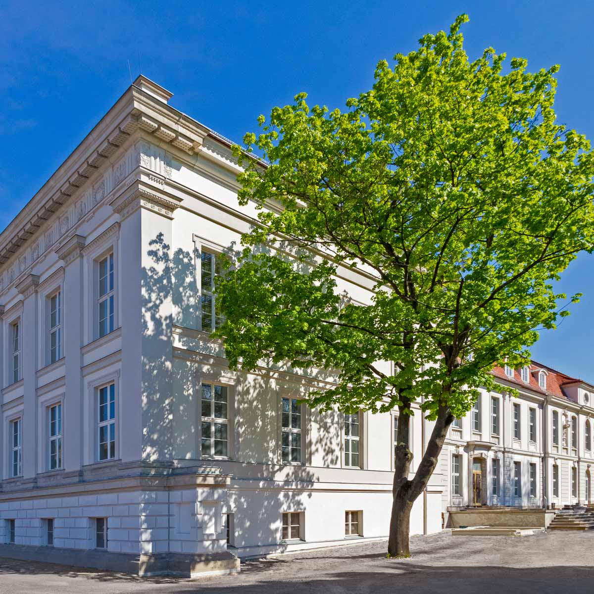 Deutsche Bank Kunsthalle Palais Populaire Berlin Creme Guides