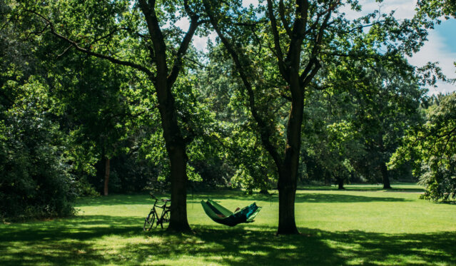 Tiergarten_Berlin-1