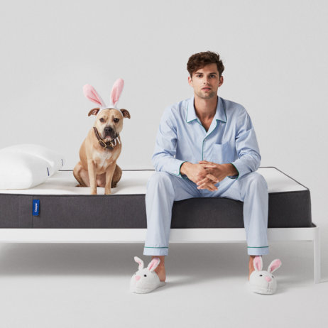 Casper Matratzen online bestellen Hund