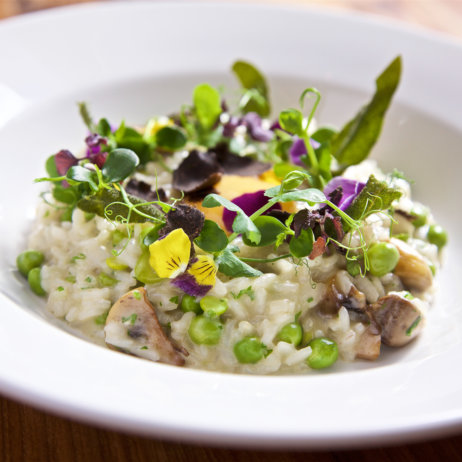 Castillo de Monda Spanien