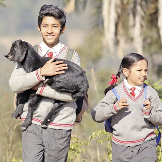 ZFF für Kinder Happy Mothers Day