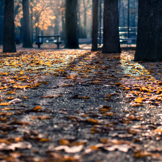 Treptower Park Berlin