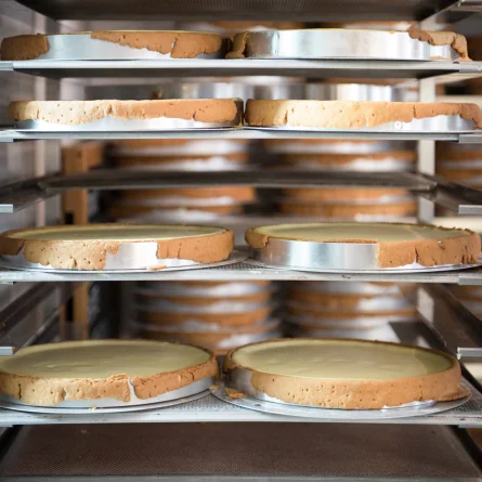 Bravo Bravko Berlin-2