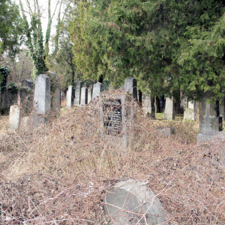 Alter jüdischer Teil des Zentralfriedhofs Wien-4