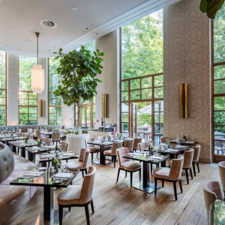 The Charles Hotel München_Sophia's Restaurat_Ausblick Alter Botanischer Garten