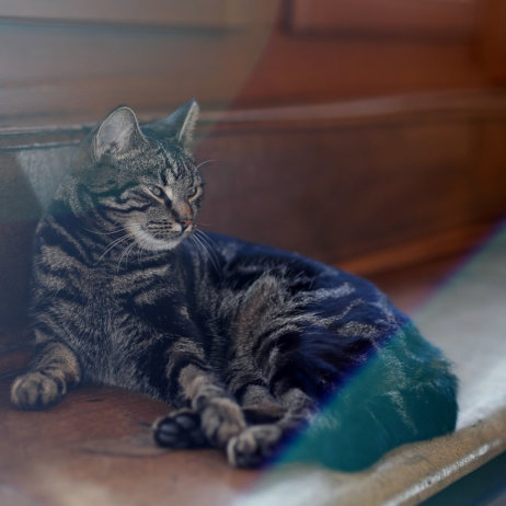 Weinverkostung bei Schwarzenbach Weinbau-14
