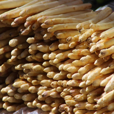 Kulturinarik Foodkolumne_Weißer Spargel