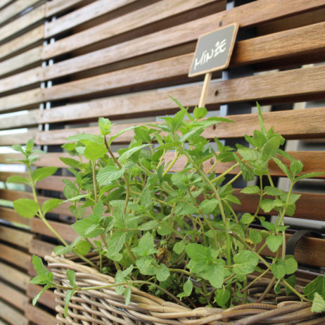 Ambassador Hotel The View Bar Zürich