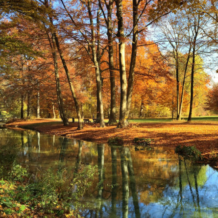 Englischer Garten München im Herbst