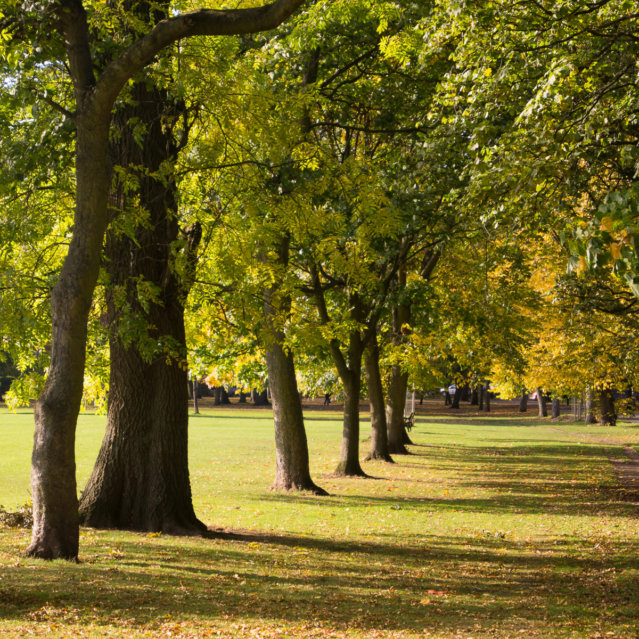 Schlosspark Berlin Niederschönhausen Schlosspark Berlin Niederschönhausen