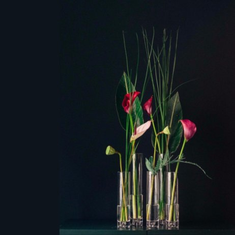 Horeis Blumen Berlin 5