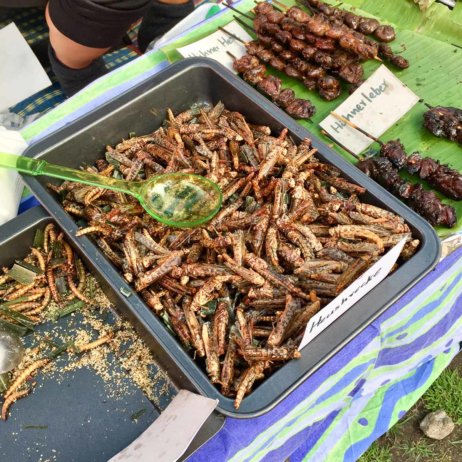 Thai Wiesen Berlin Schöneberg-6