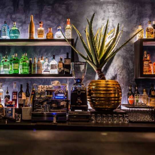 Botanic District Bar Hamburg Eppendorf 2