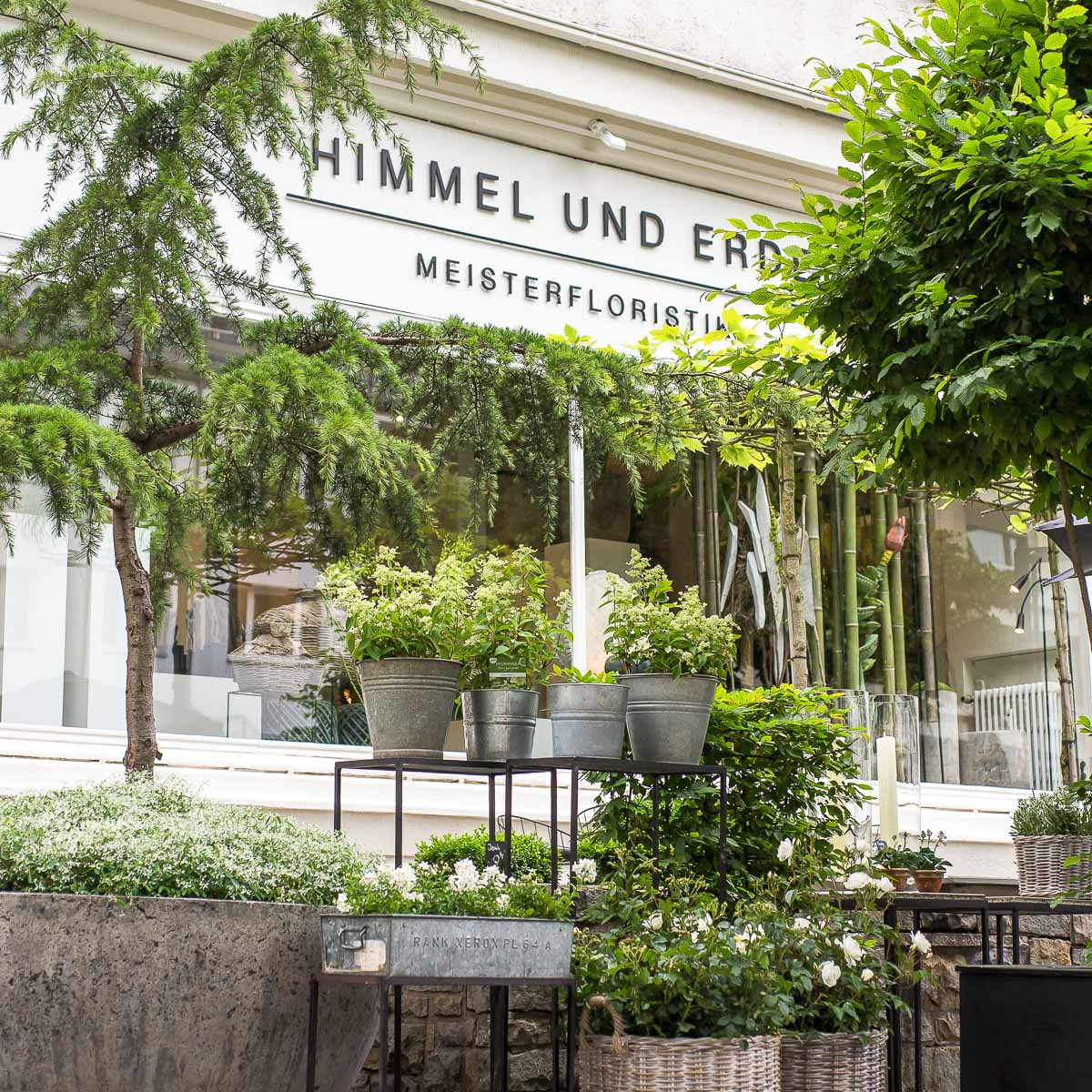 Himmel und Erde Meisterfloristik in Uhlenhorst - Hamburg | CREME GUIDES