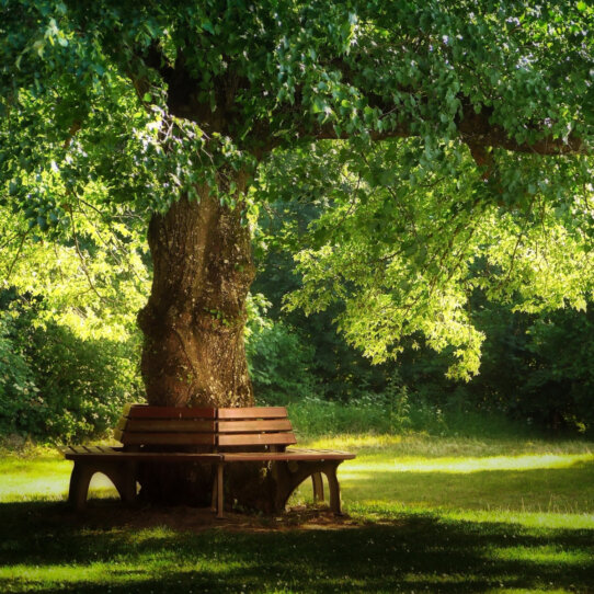 Volkspark Prenzlauer Berg Pexels