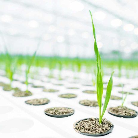 Beautylabel Bioeffect 2