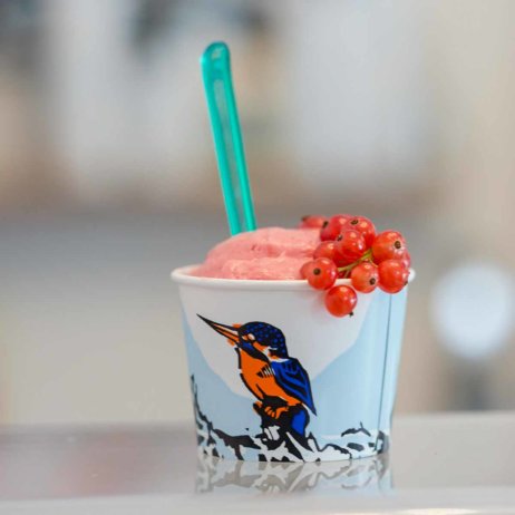 Eisvogel Glace_kulinarische Reportage mit Rezepten