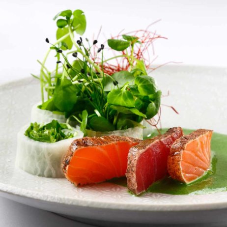 momo cookbook photo : www.danp.co.il