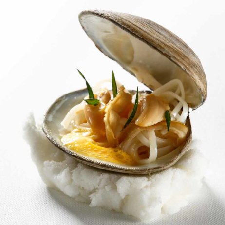 momo cookbook photo : www.danp.co.il