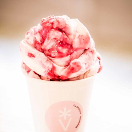 Vegane Eisdiele Veganista in Wien-6