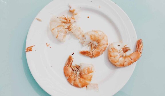 Teaser Frühjahr 2019-4