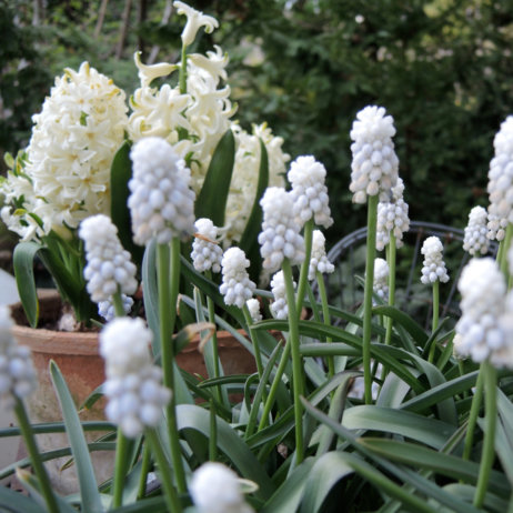 Blumengalerie Isolde Rieser München (2)