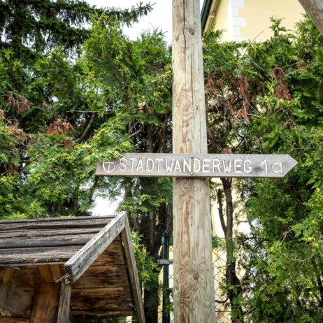 Stadtwanderweg 1a in Wien