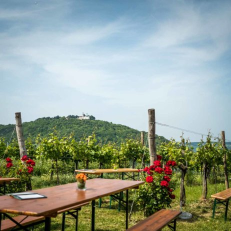 Stadtwanderweg 1a in Wien-6