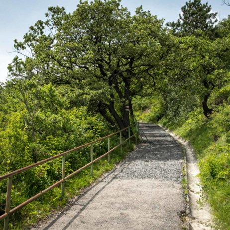 Stadtwanderweg 1a in Wien-9