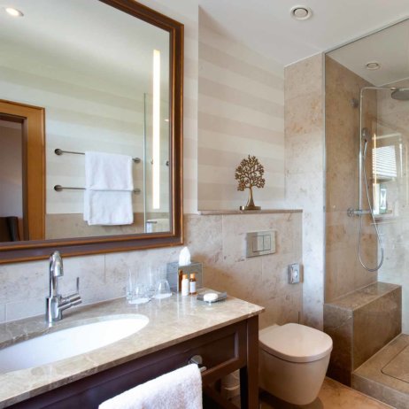 The Original FX Mayr Health Center am Wörthersee Bad