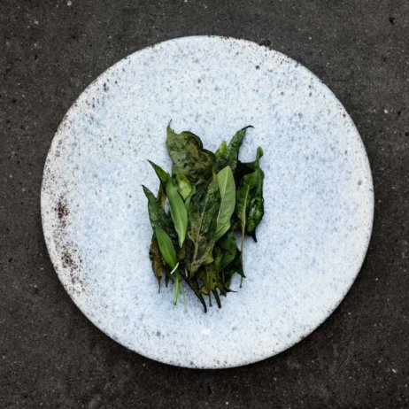 Restaurant Relæ in Kopenhagen