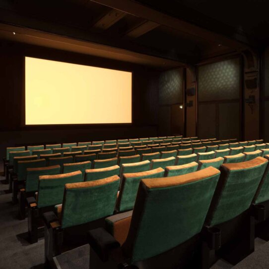 Riffraff Kino & Bar in Zürich