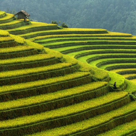 Vietnam & Kambodscha