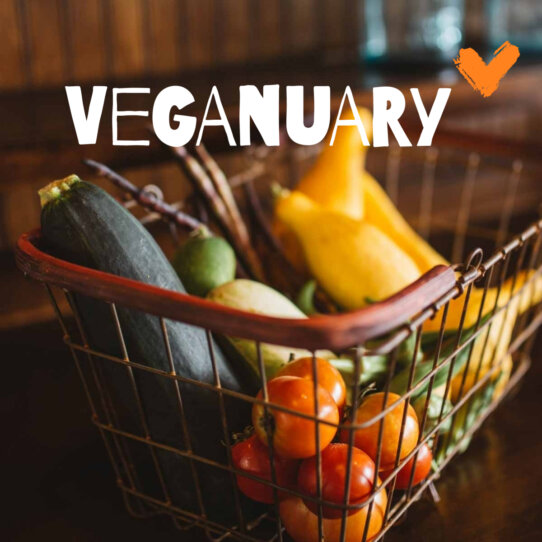 Veganuary Teaser