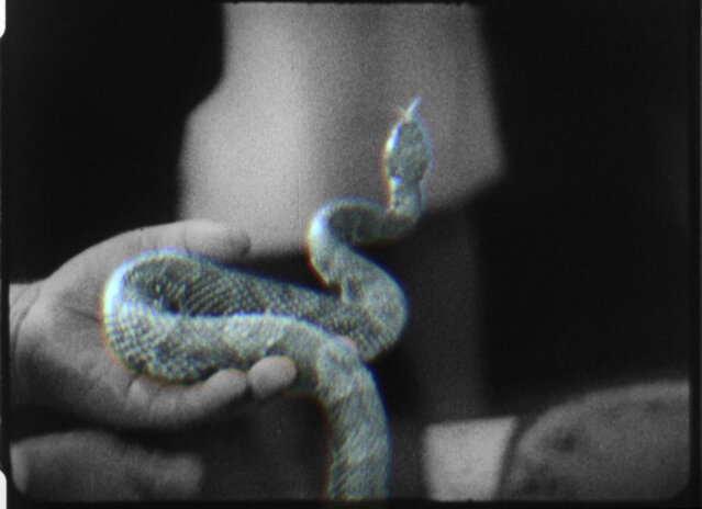 Jeremy Shaw Quickeners 2014