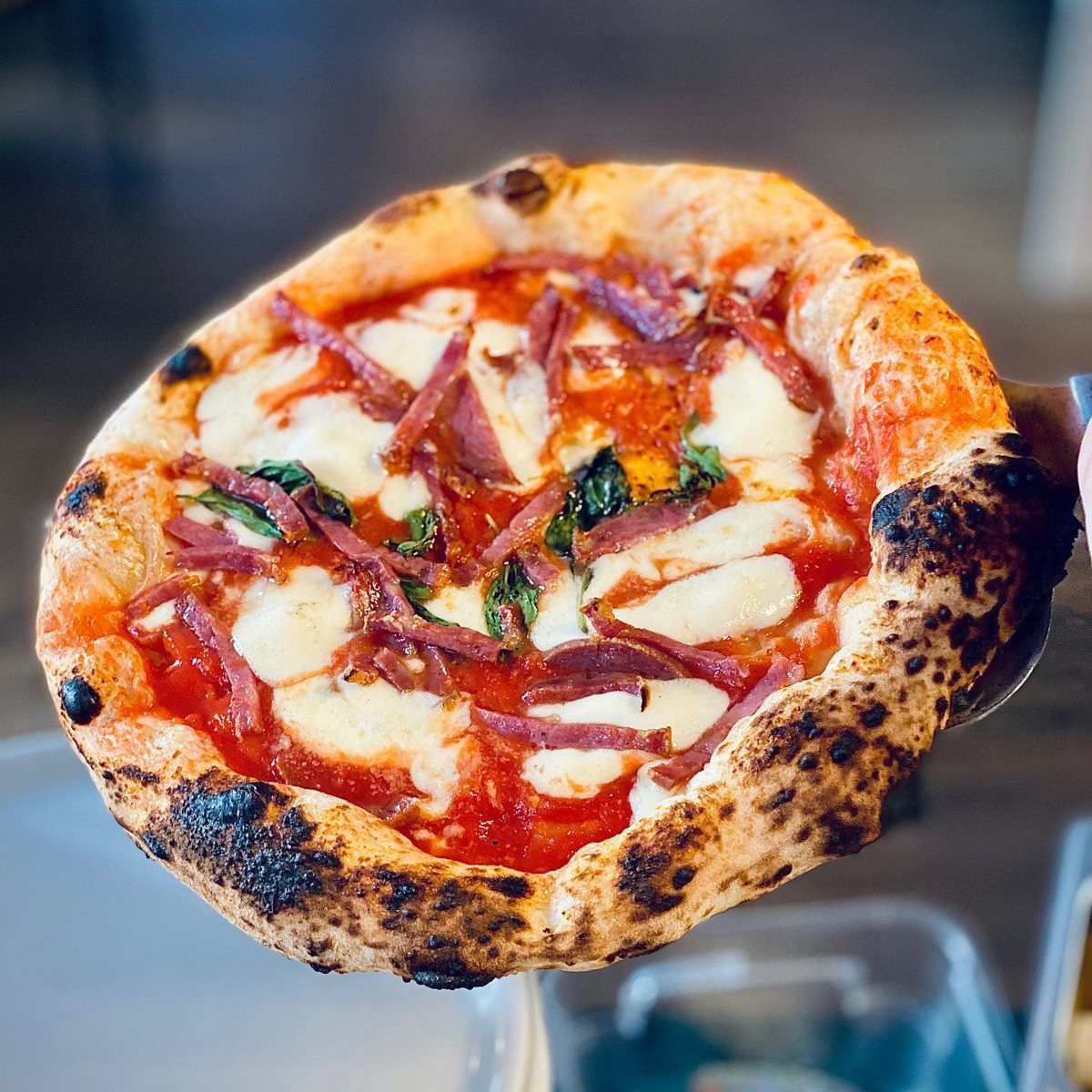 Standard pizza clearance