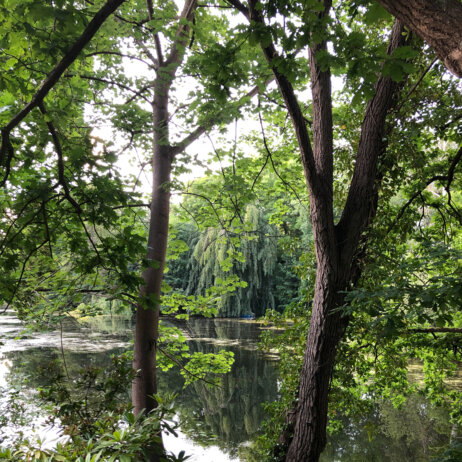 Biergarten am Herthasee in Berlin