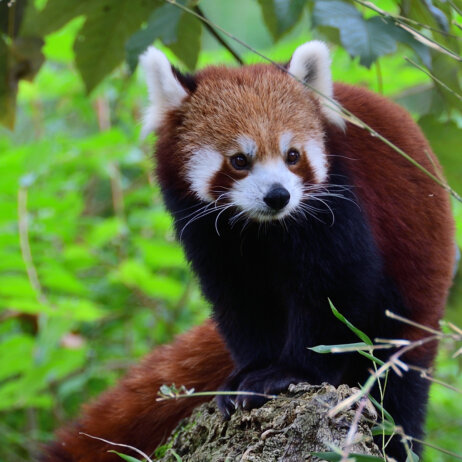 Tierpark Hellabrunn in München Thalkirchen © Gemma Borrell