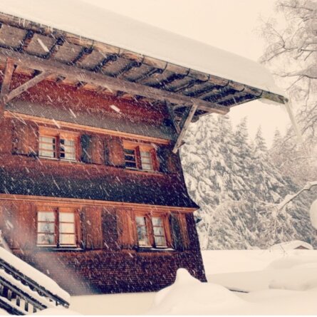 Ansitz Hohenegg Winter