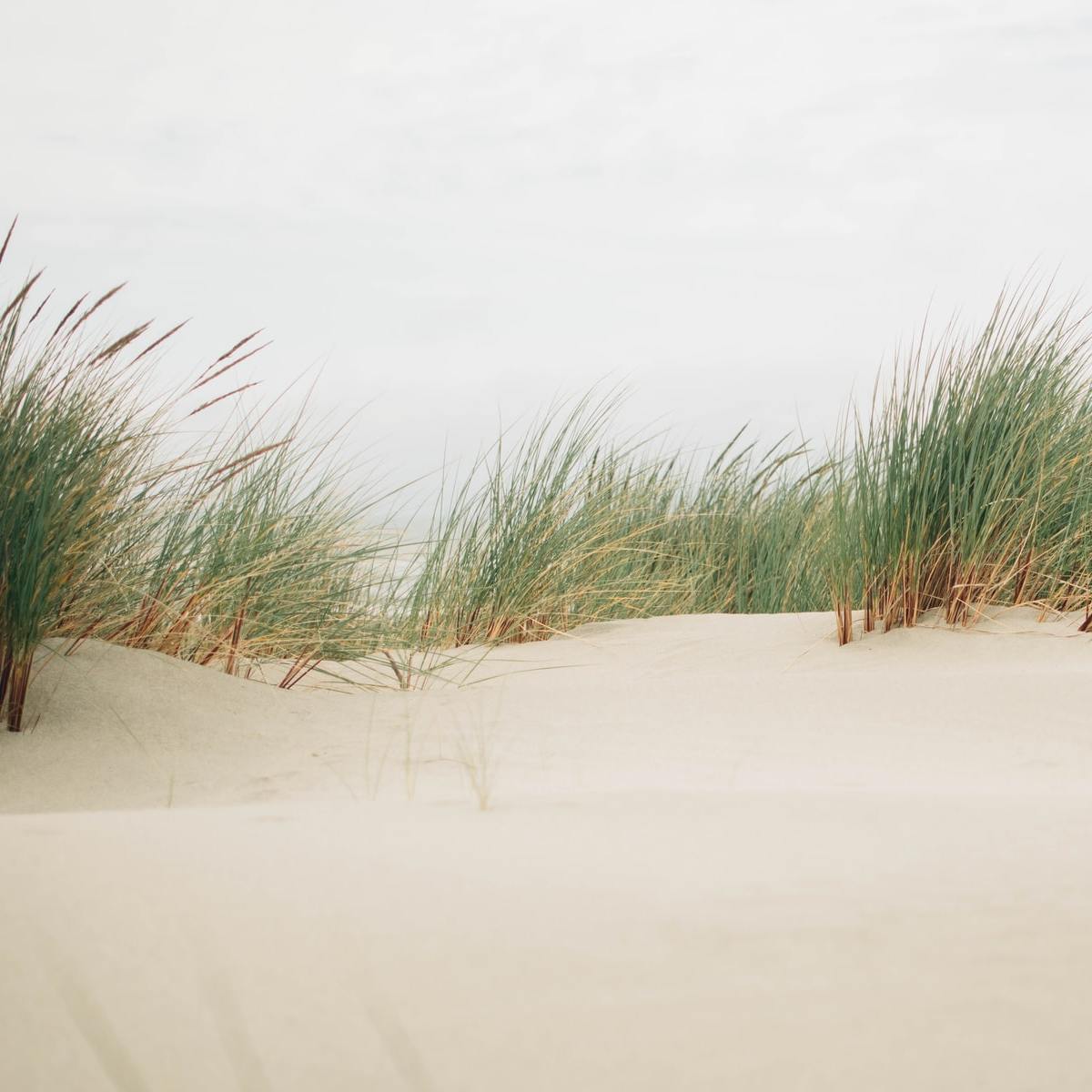 Boberger Dünen in Hamburg-Bergedorf