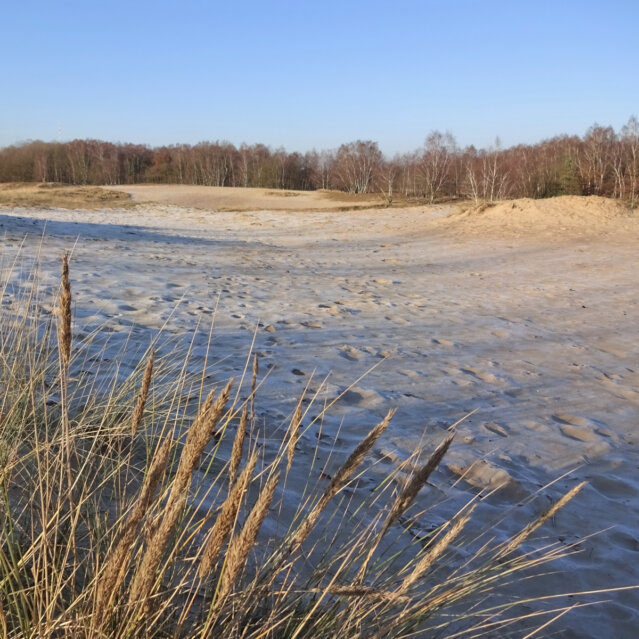 Boberger Dünen in Hamburg