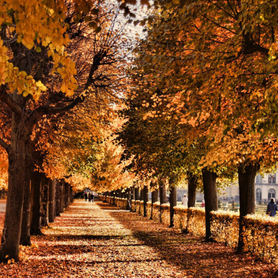 Die schönsten Spaziergänge im Herbst