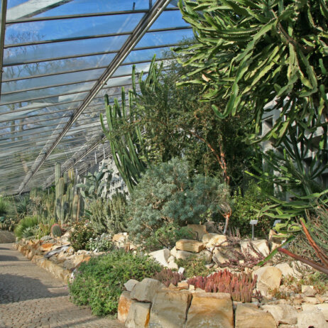 Loki-Schmidt-Garten Sukkulentenhaus