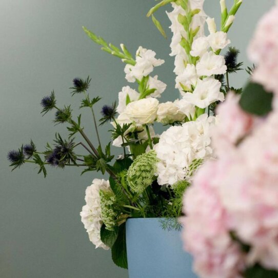 Grafs Kontor Charlottenburg