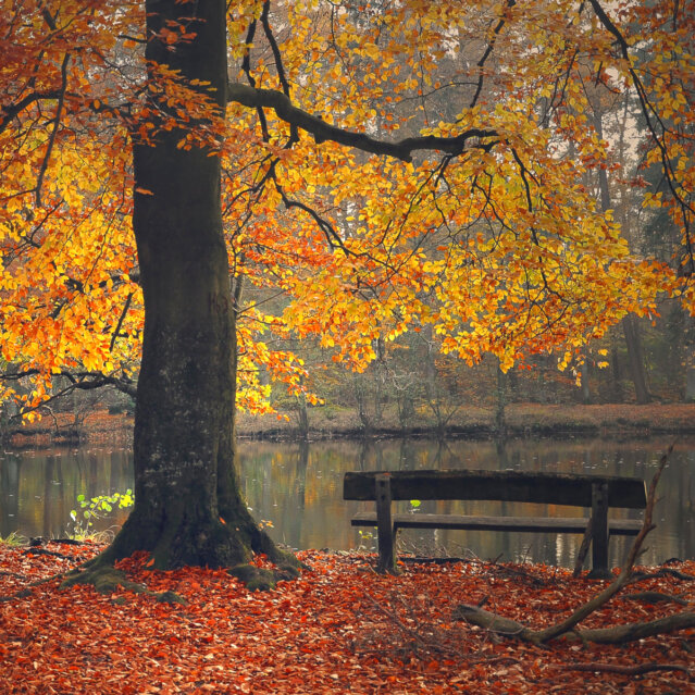 shutterstock-1853081743-1